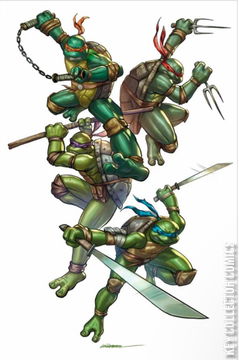 Variant Cover for Teenage Mutant Ninja Turtles #5