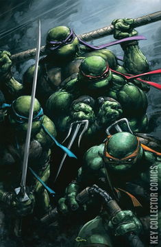 Variant Cover for Teenage Mutant Ninja Turtles #7