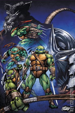 Variant Cover for Teenage Mutant Ninja Turtles #7
