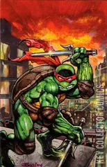 Cover for Raphael: Teenage Mutant Ninja Turtles #1