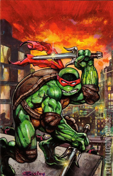Variant Cover for Raphael: Teenage Mutant Ninja Turtles #1