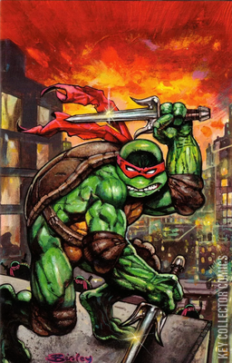 Raphael: Teenage Mutant Ninja Turtles