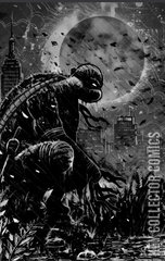 Variant Cover for Teenage Mutant Ninja Turtles #10