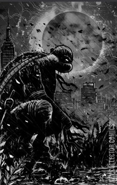 Variant Cover for Teenage Mutant Ninja Turtles #10