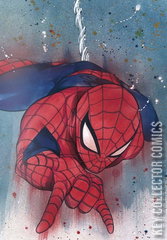 Variant Cover for Amazing Spider-Man #1
