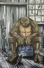 Cover for Teenage Mutant Ninja Turtles #3