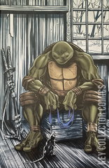 Variant Cover for Teenage Mutant Ninja Turtles #3