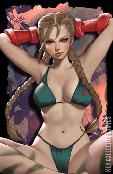 Variant Cover for Street Fighter & Friends Swimsuit Special 2024 #1