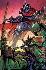 Variant Cover for Teenage Mutant Ninja Turtles #10