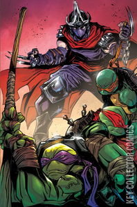 Teenage Mutant Ninja Turtles #10