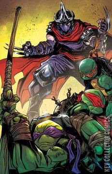 Variant Cover for Teenage Mutant Ninja Turtles #10