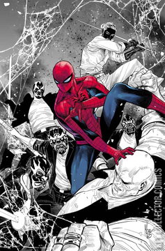 Variant Cover for Ultimate Spider-Man #19