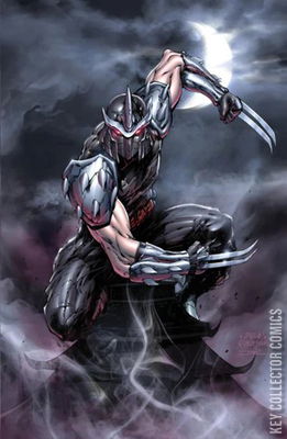 Teenage Mutant Ninja Turtles: Shredder