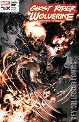 Variant Cover for Ghost Rider / Wolverine: Weapons of Vengeance Omega #1
