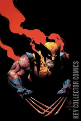 Variant Cover for Wolverine: Revenge - Red Band #4