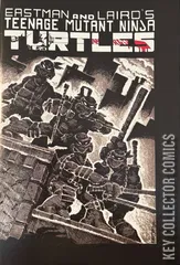 Variant Cover for Teenage Mutant Ninja Turtles #1