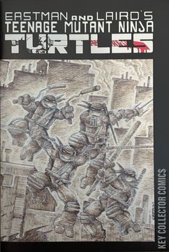 Variant Cover for Teenage Mutant Ninja Turtles #1