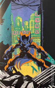 Variant Cover for Mega Man: Legends - Timelines #1