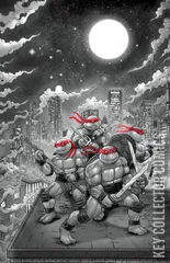 Variant Cover for Teenage Mutant Ninja Turtles: Journeys #1