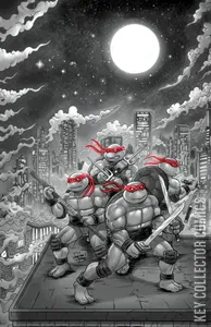 Teenage Mutant Ninja Turtles: Journeys #1