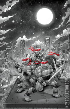 Variant Cover for Teenage Mutant Ninja Turtles: Journeys #1