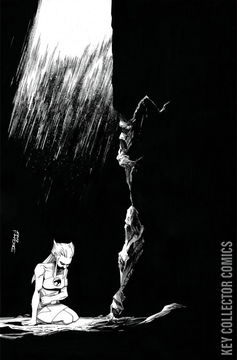 Variant Cover for Thundercats: Lost #5