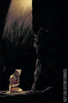 Variant Cover for Thundercats: Lost #5