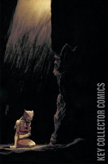 Variant Cover for Thundercats: Lost #5
