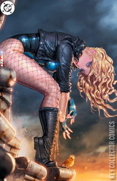 Variant Cover for Birds of Prey #24