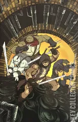 Variant Cover for Teenage Mutant Ninja Turtles: The Last Ronin II - ReEvolution #2