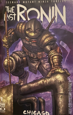 Teenage Mutant Ninja Turtles: The Last Ronin