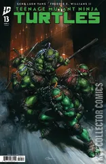 Cover for Teenage Mutant Ninja Turtles #13
