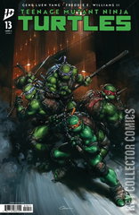 Variant Cover for Teenage Mutant Ninja Turtles #13