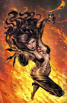 Variant Cover for Witchblade #14
