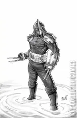 Variant Cover for Teenage Mutant Ninja Turtles: Shredder #1