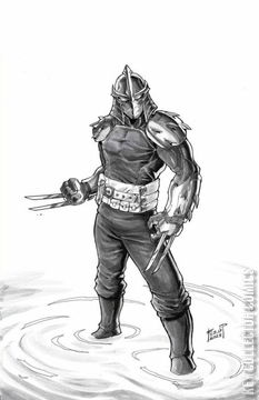 Variant Cover for Teenage Mutant Ninja Turtles: Shredder #1