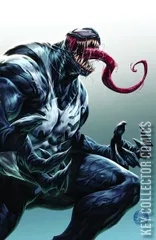 Variant Cover for Venom #250
