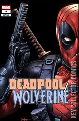 Variant Cover for Deadpool / Wolverine #9