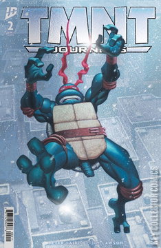 Variant Cover for Teenage Mutant Ninja Turtles: Journeys #2