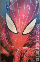 Variant Cover for Ultimate Spider-Man #14