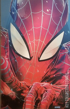 Variant Cover for Ultimate Spider-Man #14