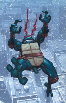 Variant Cover for Teenage Mutant Ninja Turtles: Journeys #2