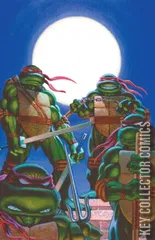 Variant Cover for Teenage Mutant Ninja Turtles: Journeys #1