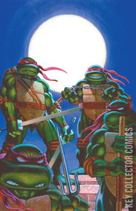 Teenage Mutant Ninja Turtles: Journeys #1