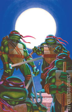 Variant Cover for Teenage Mutant Ninja Turtles: Journeys #1