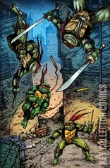 Variant Cover for Teenage Mutant Ninja Turtles: Journeys #1