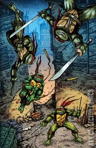 Teenage Mutant Ninja Turtles: Journeys #1