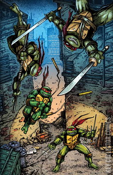 Variant Cover for Teenage Mutant Ninja Turtles: Journeys #1