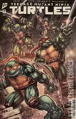 Cover for Teenage Mutant Ninja Turtles #13