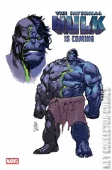 Variant Cover for Incredible Hulk, The #29